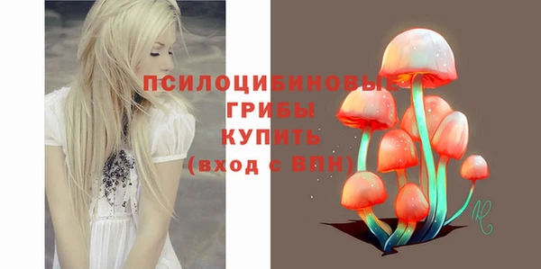крисы Алзамай