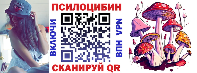цена   Магадан  Псилоцибиновые грибы Cubensis 